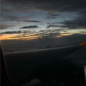 Meet your Posher, Bella